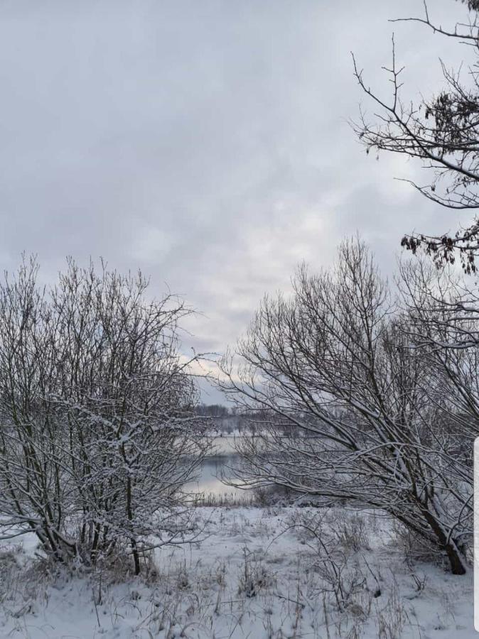"Altes Stellwerk Frose" Am Froser See Bagian luar foto